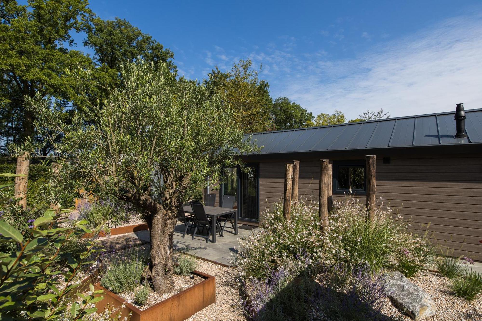 Modern Ingericht Chalet Op Groen Park Op De Veluwe Epe Buitenkant foto