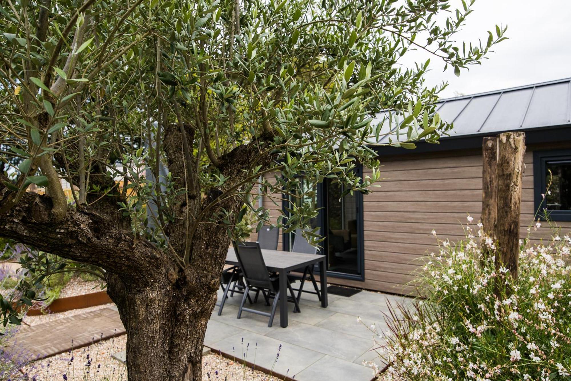 Modern Ingericht Chalet Op Groen Park Op De Veluwe Epe Buitenkant foto