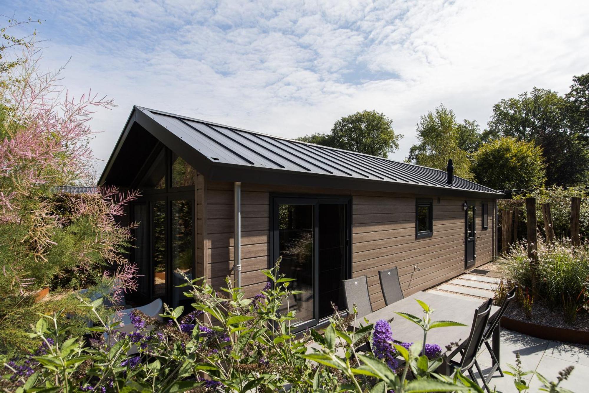 Modern Ingericht Chalet Op Groen Park Op De Veluwe Epe Buitenkant foto