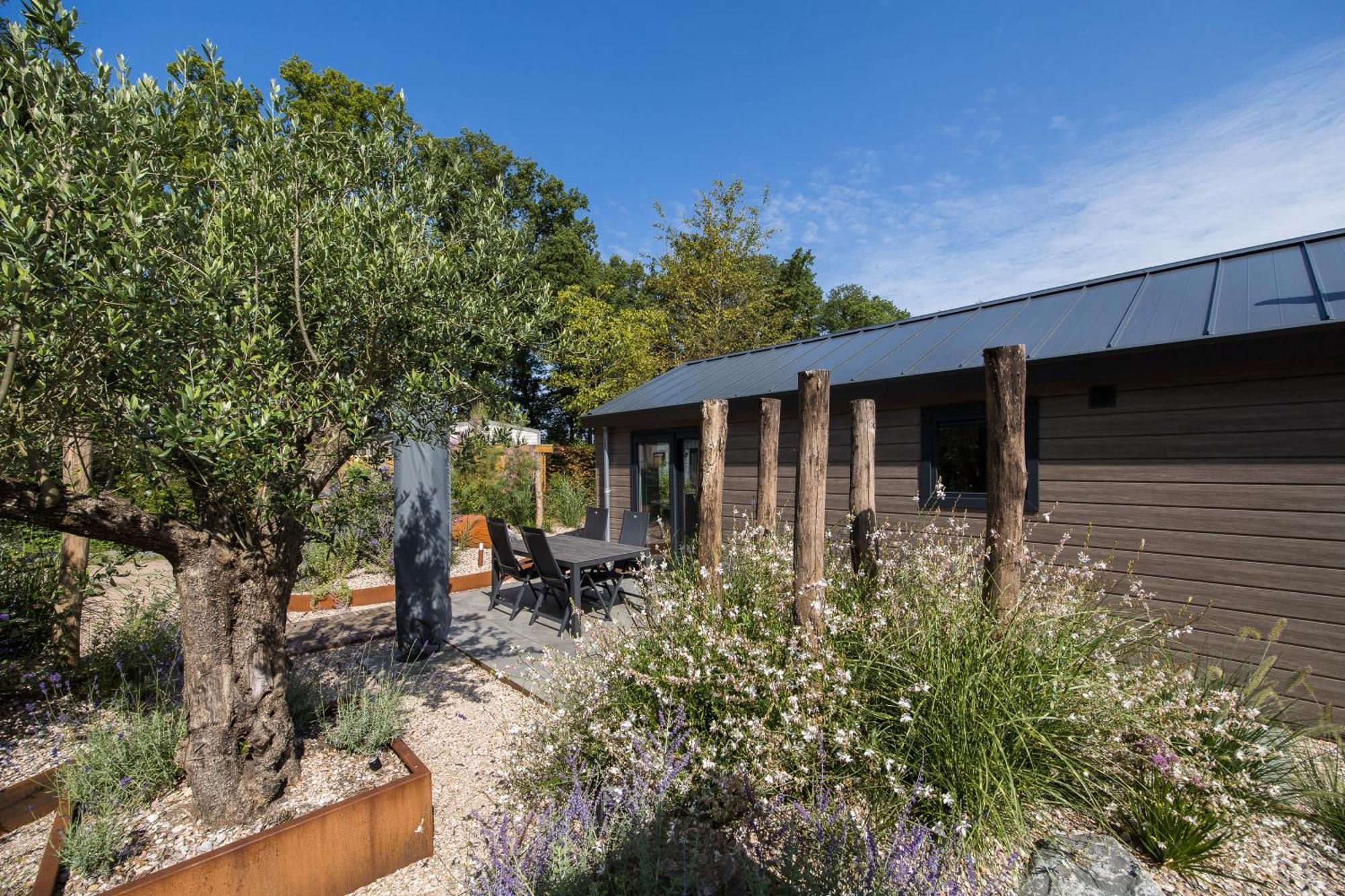 Modern Ingericht Chalet Op Groen Park Op De Veluwe Epe Buitenkant foto