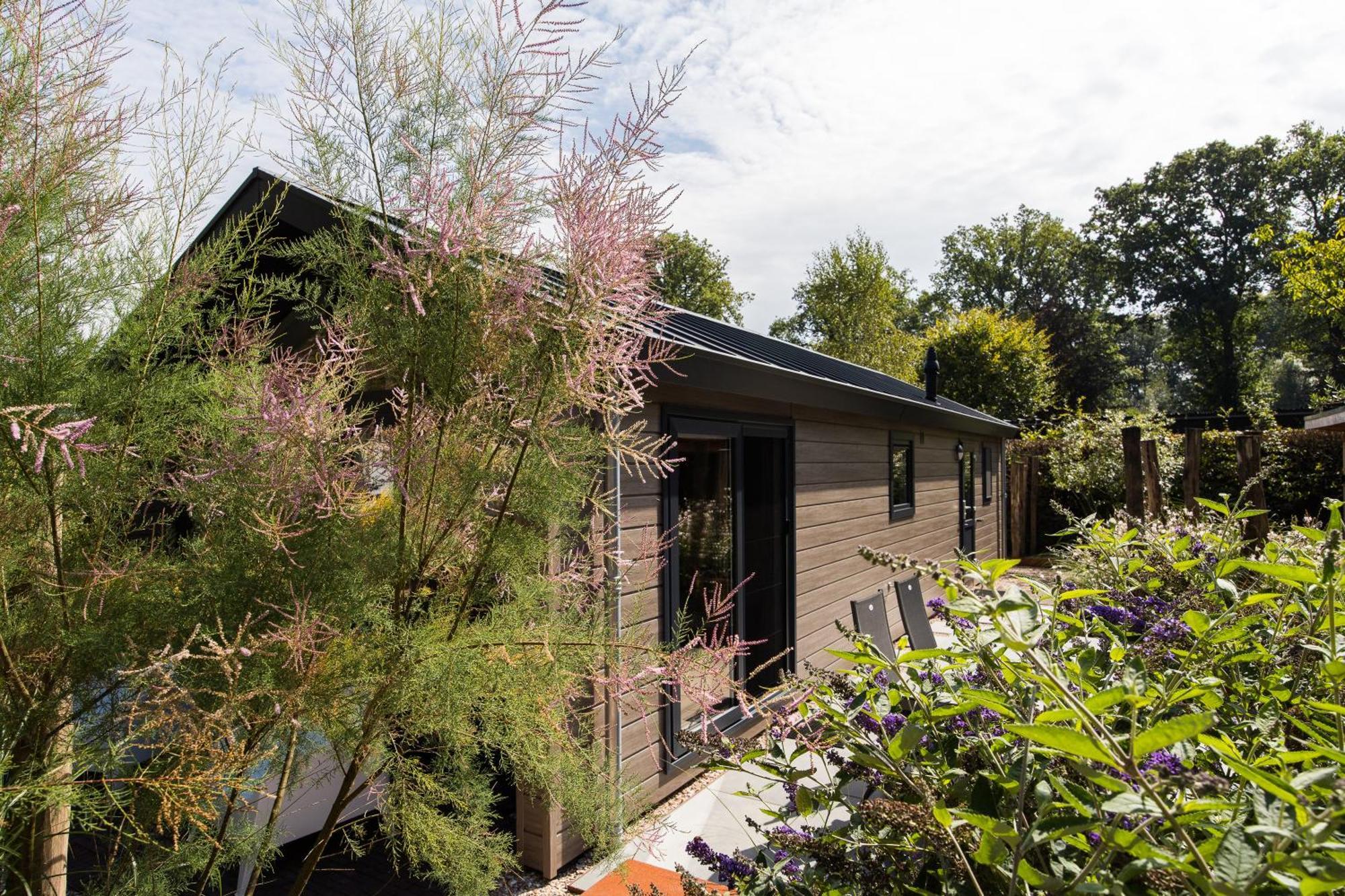Modern Ingericht Chalet Op Groen Park Op De Veluwe Epe Buitenkant foto