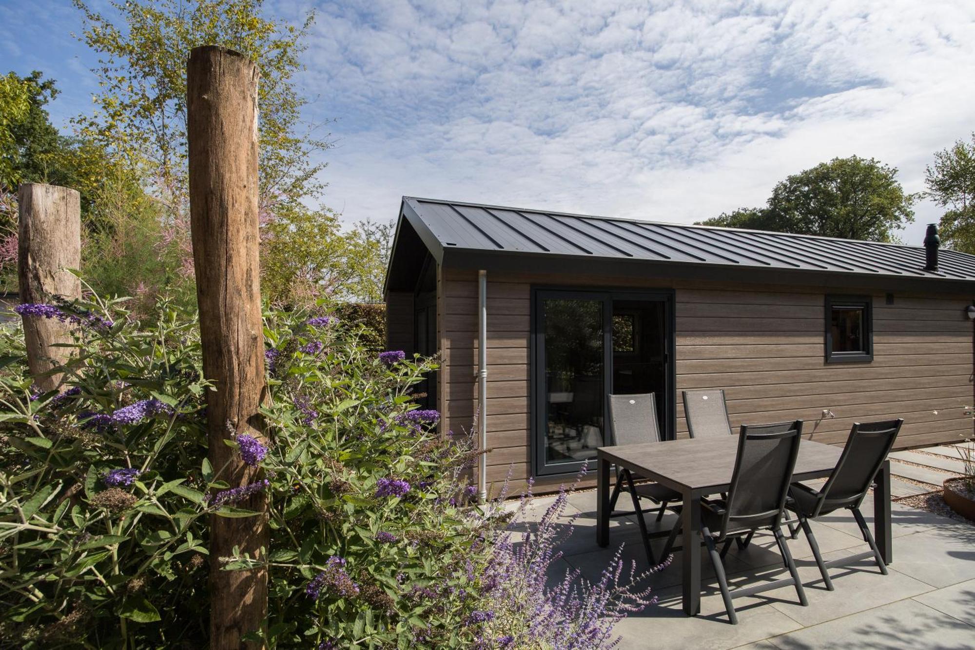 Modern Ingericht Chalet Op Groen Park Op De Veluwe Epe Buitenkant foto