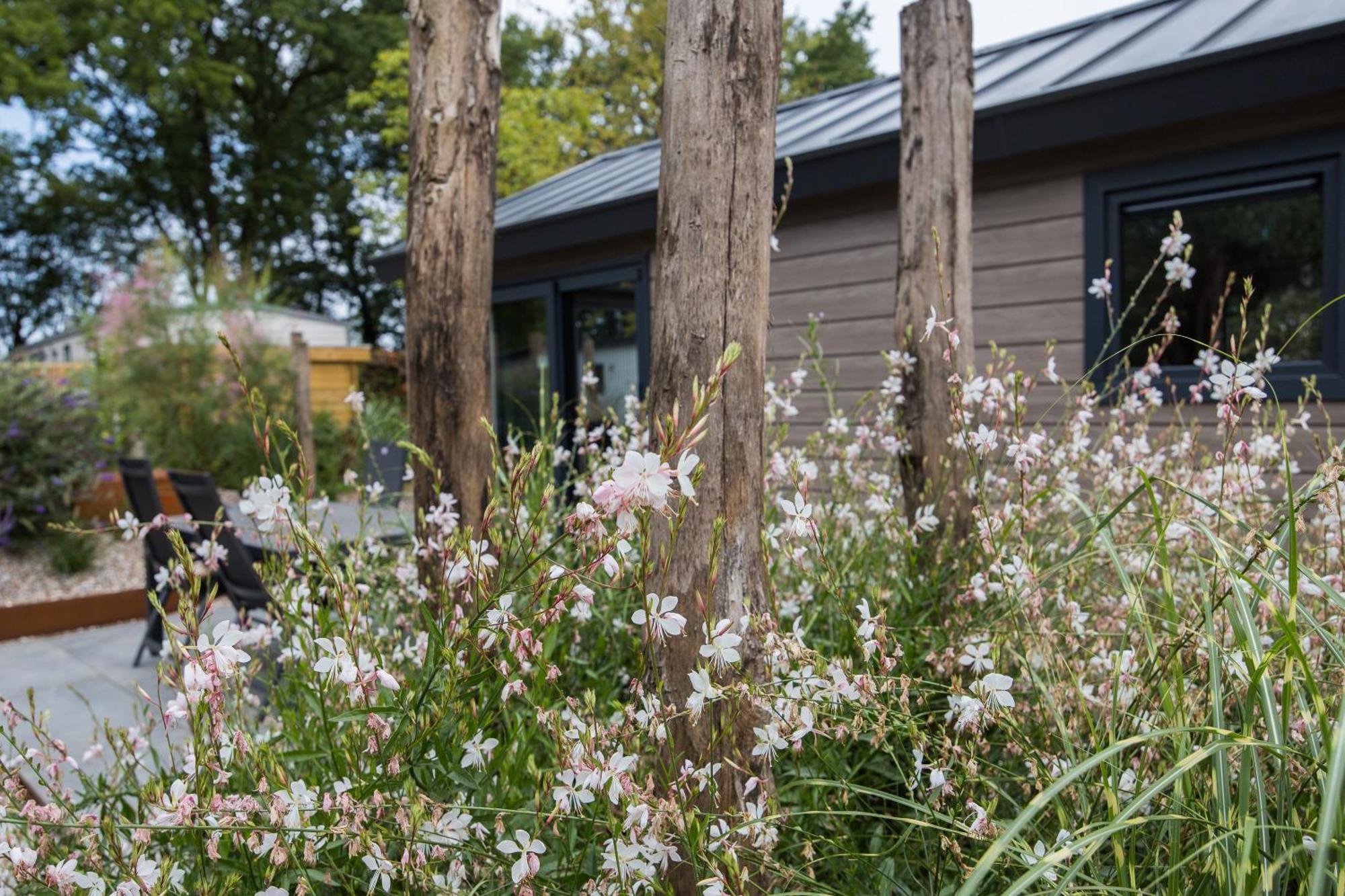 Modern Ingericht Chalet Op Groen Park Op De Veluwe Epe Buitenkant foto